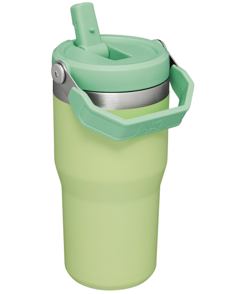 https://www.cup-stanley.com/wp-content/uploads/2023/07/B2B_Web_PNG-The-IceFlow-Flip-Straw-Tumbler-20OZ-Citron-Hero-Back_1800x1800-510x606.png